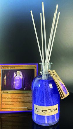 ig foto agility ig foto agility